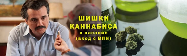 Альфа ПВП Аркадак