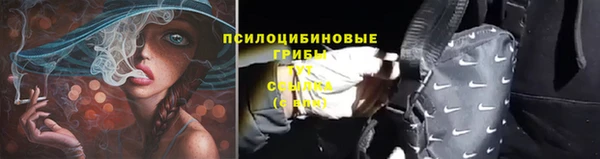 прущий лед Арсеньев