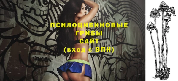 прущий лед Арсеньев