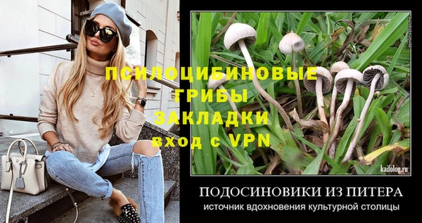 Альфа ПВП Аркадак